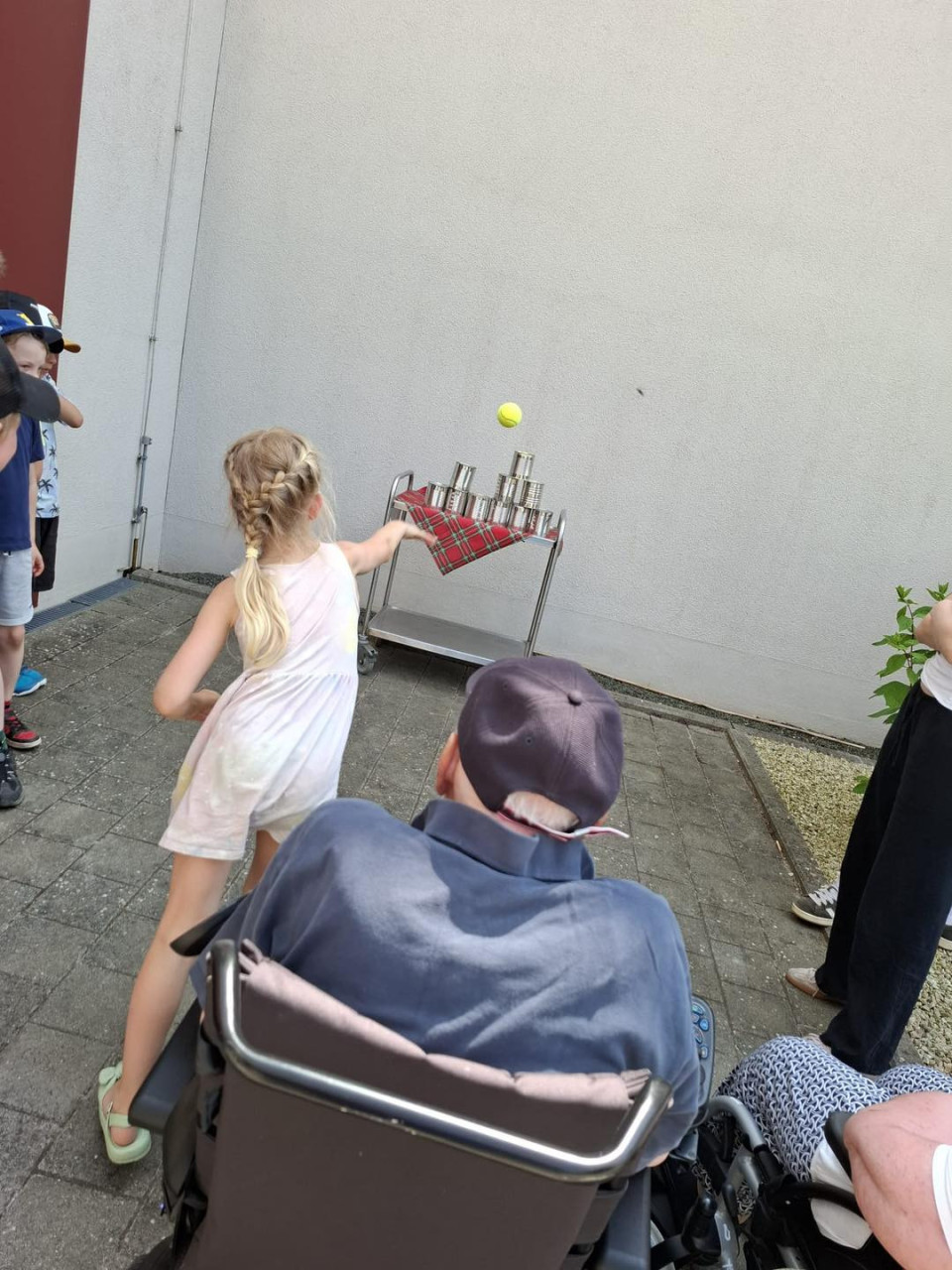 Bild